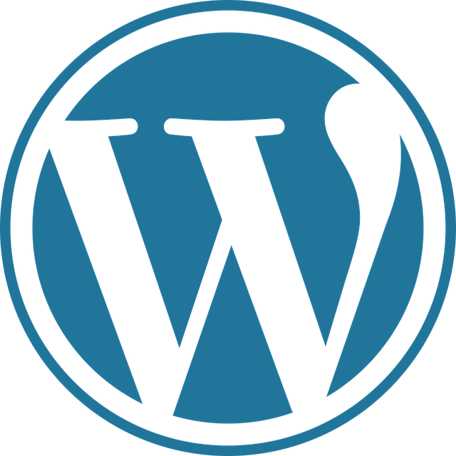 How to do SEO for WordPress Website