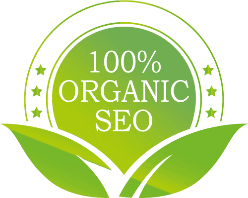 organic seo services india